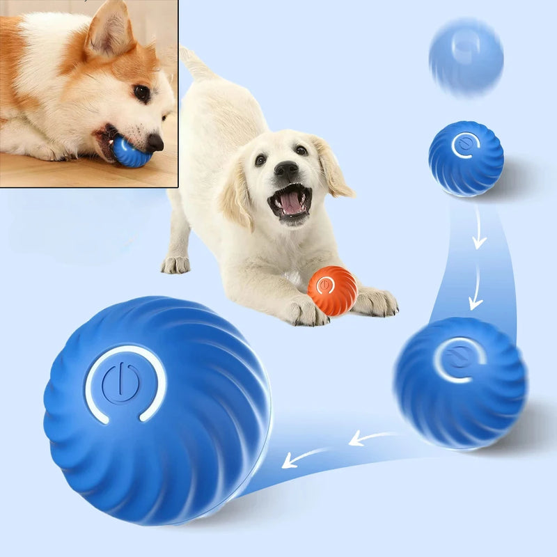 Diversão Automática: Bola Interativa para Cachorros