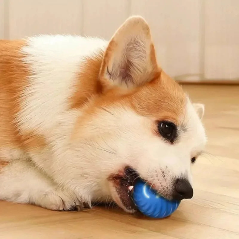 Diversão Automática: Bola Interativa para Cachorros