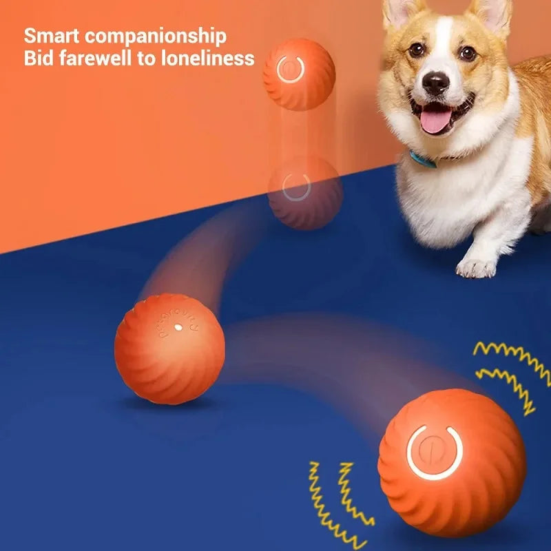 Diversão Automática: Bola Interativa para Cachorros