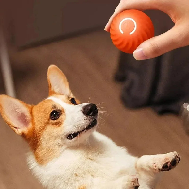 Diversão Automática: Bola Interativa para Cachorros